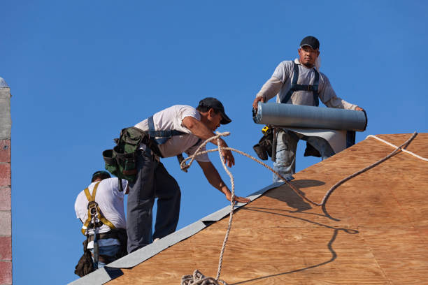 Best Commercial Roofing Services  in Emmon, AK