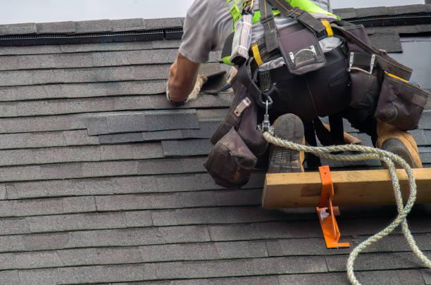 Best Roof Leak Repair  in Emmon, AK